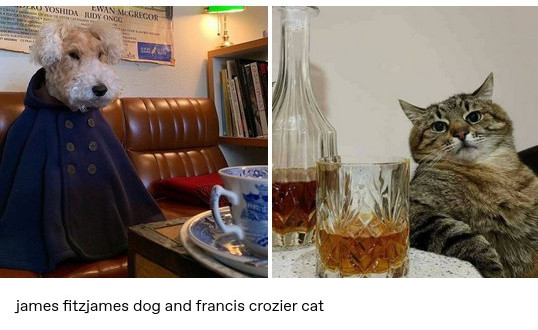 james fitzjames dog and francis crozier cat